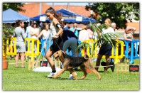 /album/galeria-de-fotos/midja-ines-1-jpg/